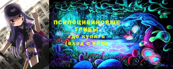 ПСИЛОЦИБИНОВЫЕ ГРИБЫ Волоколамск