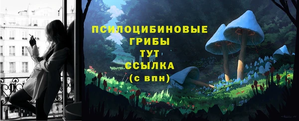 молекула духа Володарск